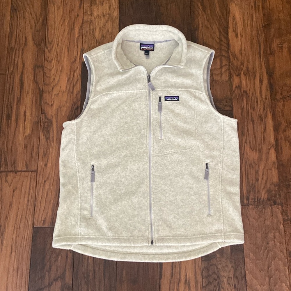 Patagonia Synchilla Men’s Vest | Large